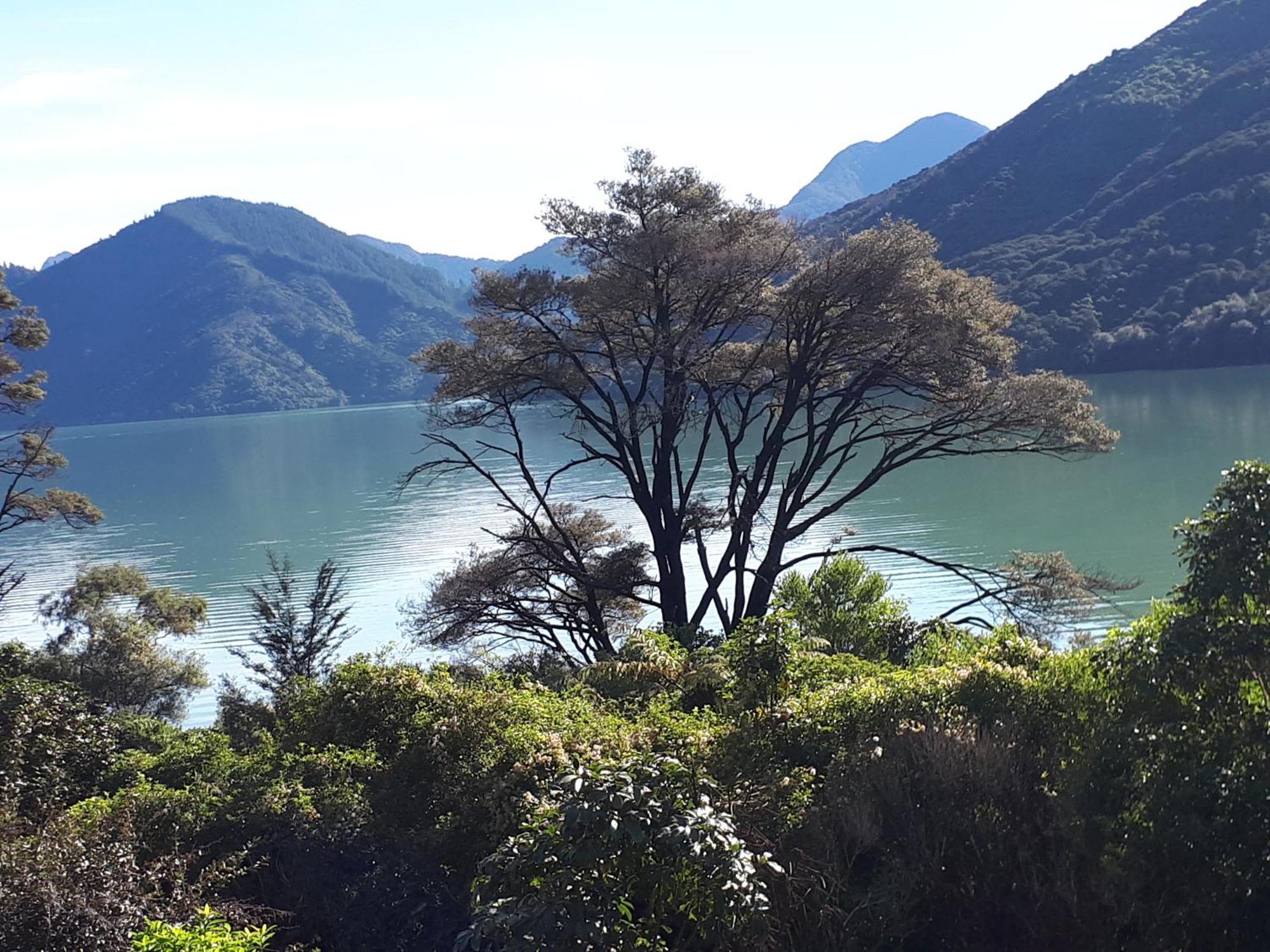 Marlborough Sounds Accommodation Havelock Zewnętrze zdjęcie