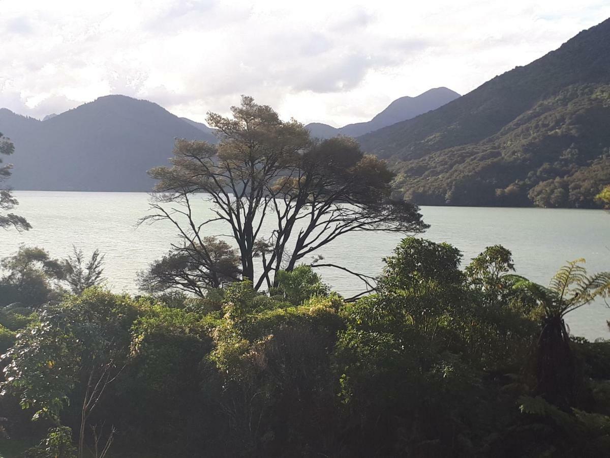 Marlborough Sounds Accommodation Havelock Zewnętrze zdjęcie